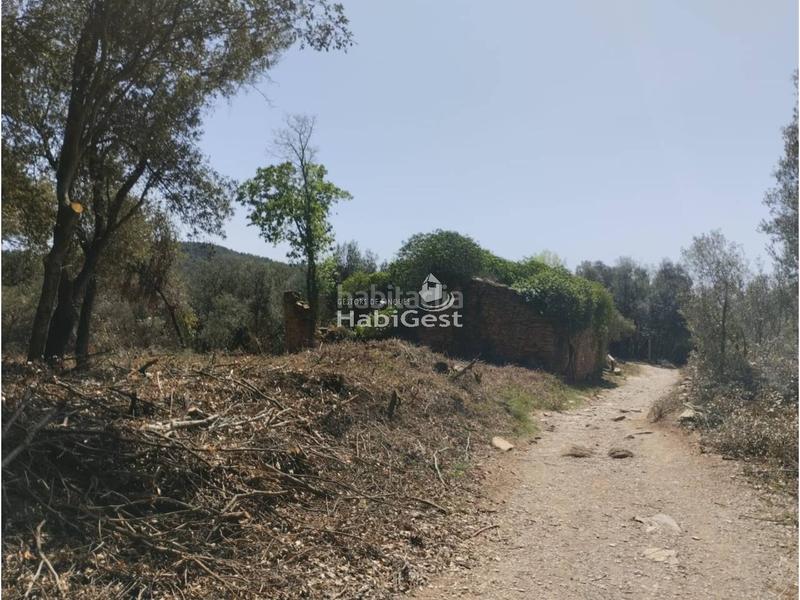 Foto f666422b-71c6-4683-afab-79f6254aa062. Fondo rustico in Sant Daniel Girona