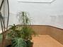Ampliar foto 01fe01bb-abb4-438a-b6a2-bce25d45724a.jpg