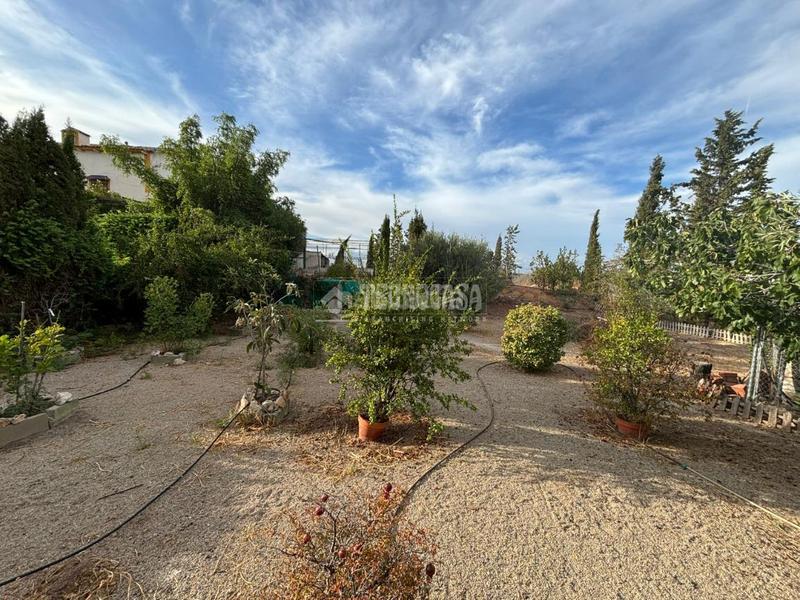 Foto 1851b200-b225-4d7e-8b4f-1ffe5be4da02. Finca rústica terrenos en venta en la guardia en Puente Jontoya - Puente de la Sierra - El Arroyo Jaén