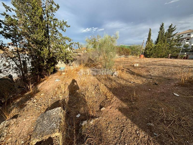 Foto 4776756d-3138-4bf8-a484-acf0d9f6cf97. Finca rústica terrenos en venta en la guardia en Puente Jontoya - Puente de la Sierra - El Arroyo Jaén
