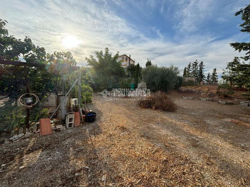 Foto 5d7d3d6c-0ded-4494-9e25-06581cbcc70e. Finca rústica terrenos en venta en la guardia en Puente Jontoya - Puente de la Sierra - El Arroyo Jaén