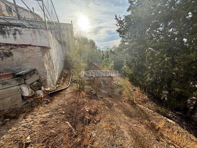 Foto b39eeafc-b733-4d36-b946-3acc04f9bf4d. Finca rústica terrenos en venta en la guardia en Puente Jontoya - Puente de la Sierra - El Arroyo Jaén