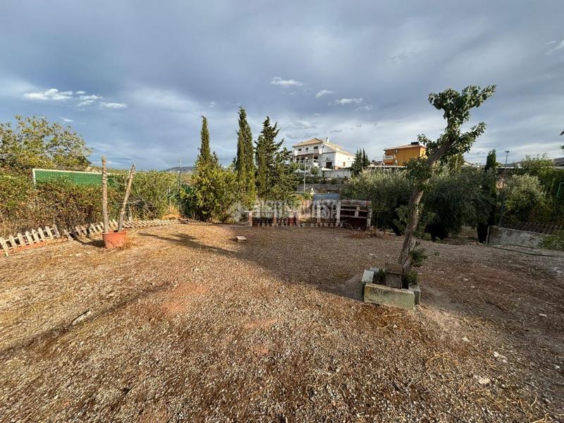 Foto fa381fa5-1654-43ff-a86c-1cc0a0cd5dc5. Finca rústica terrenos en venta en la guardia en Puente Jontoya - Puente de la Sierra - El Arroyo Jaén