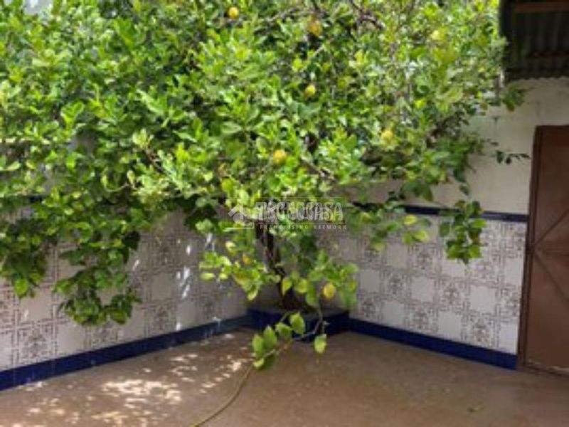 Foto bc0cbb52-fc2b-4090-a9c5-8520d7ac0d85. Casa aparellada a Torredelcampo