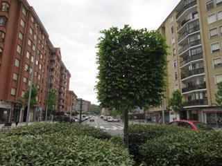 Geschäftsraum in Galdakao