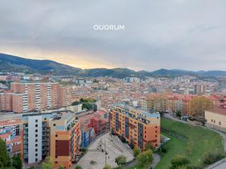 Pis  Calle virgen de begoa. Dplex de 3 dormitorios en begoa