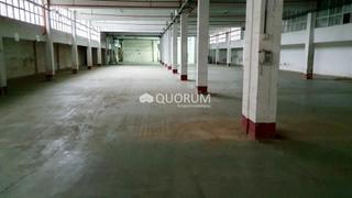 Industrial building in Erandio