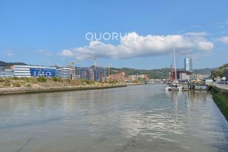 Dúplex en Olabeaga. Vivienda única e inusual por su tipología y entorno. dúplex de 3
