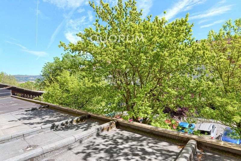 Foto fffb21bc-95aa-4a43-bb04-278a5a0f6a0a. Pis a San Miguel Basauri