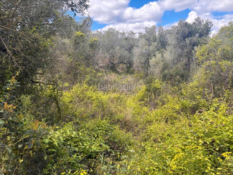 Foto f4a3c604-d3fe-4b07-a581-6d057714a7b1. Terreno residenziale in Nord Vilanova i la Geltrú