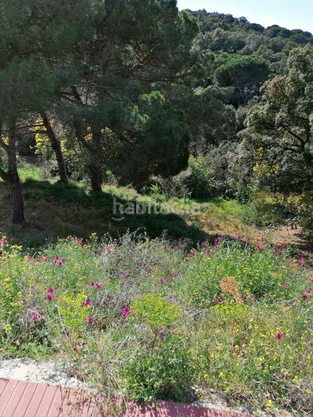 Foto 1bbf1f84-eb62-44ee-92a6-fd260e875d12. Terreno residenziale in carrer del pi gros 29 in Argentona est Argentona