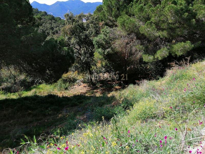 Foto 255ea694-2523-4cbe-8789-f13b2750f9cf. Terreno residenziale in carrer del pi gros 29 in Argentona est Argentona