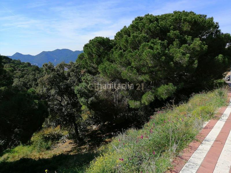 Foto 290d5c82-9eb3-4b85-bfab-46145c881817. Terreno residenziale in carrer del pi gros 29 in Argentona est Argentona