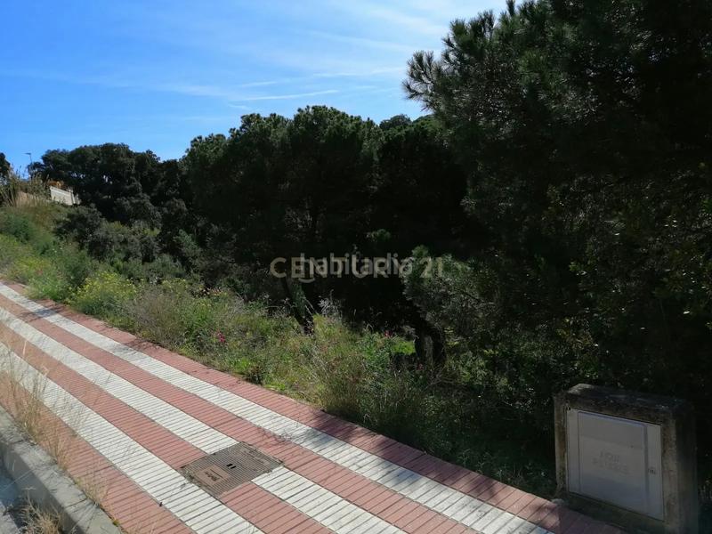 Foto 51aaa4b8-2490-4fc8-ae1a-89fb2433937f. Terreno residenziale in carrer del pi gros 29 in Argentona est Argentona