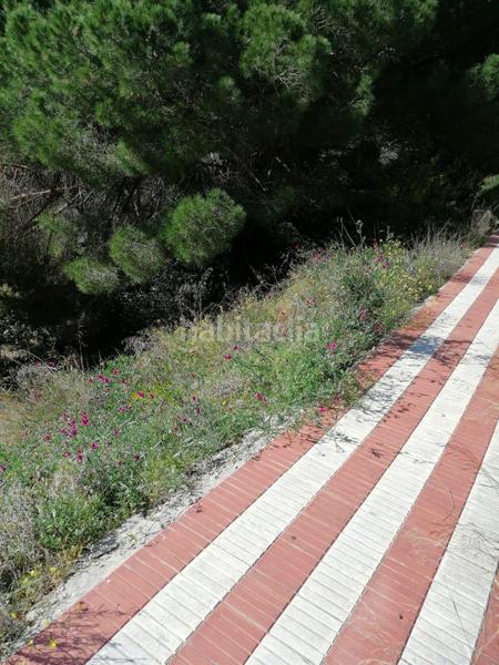 Foto 5654208e-bee1-4dfe-a280-5f650799f365. Terreno residenziale in carrer del pi gros 29 in Argentona est Argentona