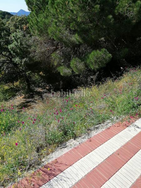 Foto 79094b5d-febe-4d84-9fc0-b06a4b2b0301. Terreno residenziale in carrer del pi gros 29 in Argentona est Argentona