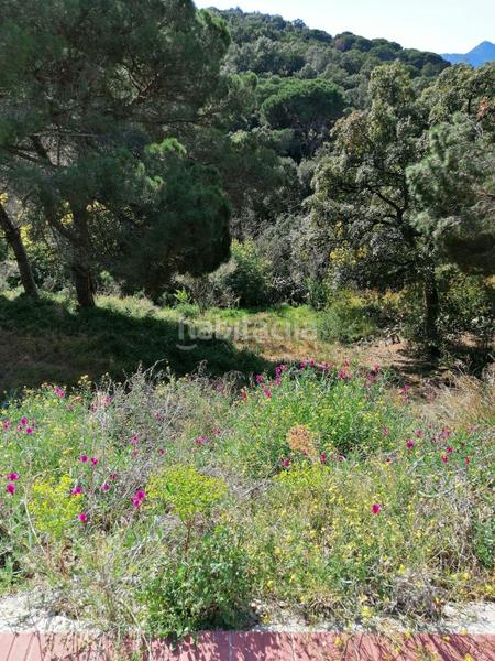 Foto 7a011fdf-bc88-4c50-b919-b02562e14270. Terreno residenziale in carrer del pi gros 29 in Argentona est Argentona