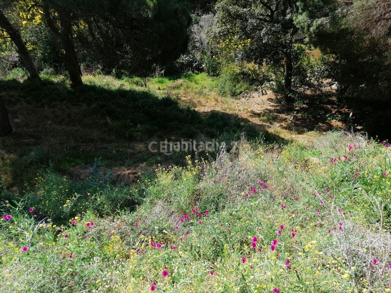 Foto 9491cea0-7b6d-4c8a-8d0b-06b314dbca2e. Terreno residenziale in carrer del pi gros 29 in Argentona est Argentona