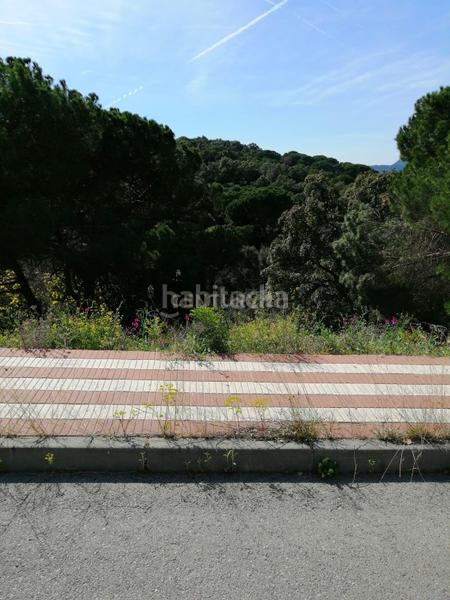 Foto c17cddcc-9cc7-4195-82da-26c3fb9eef33. Terreno residenziale in carrer del pi gros 29 in Argentona est Argentona