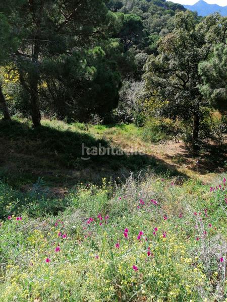 Foto e8a0dba0-5319-4a1c-b45a-aee80892d2fd. Terreno residenziale in carrer del pi gros 29 in Argentona est Argentona