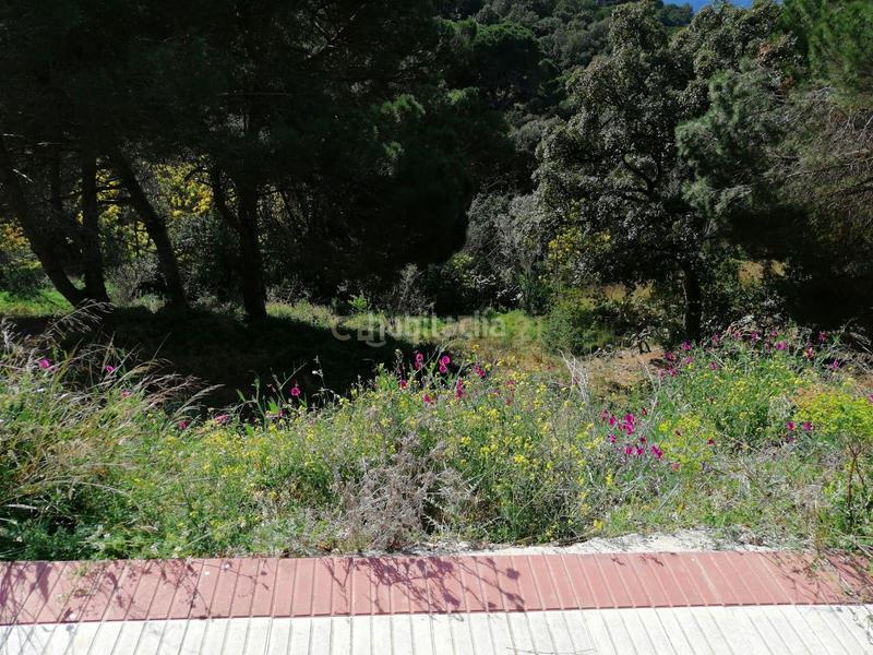 Foto f2d6cd17-4947-4794-ab8f-4b33d6686972. Terreno residenziale in carrer del pi gros 29 in Argentona est Argentona