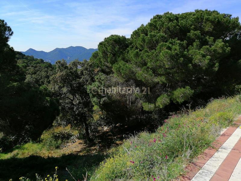 Foto f6b2769c-f95e-480c-a3d0-76da7accf38c. Terreno residenziale in carrer del pi gros 29 in Argentona est Argentona