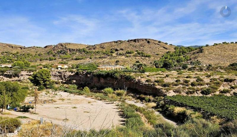 Foto 0568ce42-0e8c-4099-8fbf-da4fa6963296. Maison avec piscine dans Totana