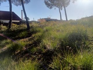 Terreno residencial en Constel·lacio de la, 13. Terreno urbano  olivella