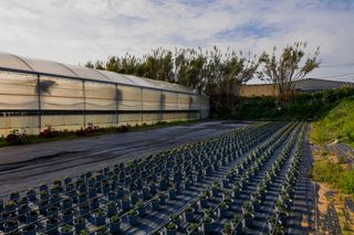 Rural plot  Poligono industrial els garrofers