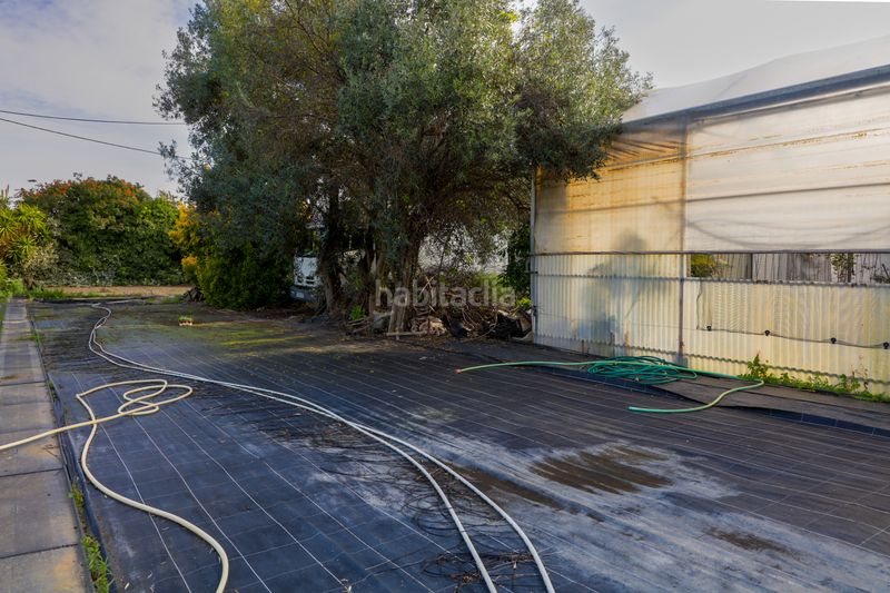 Foto 2c05f242-4a5e-4c61-ae09-cc8a0c9fdb1e. Finca rústica en Zona Industrial i Agrícola Vilassar de Mar