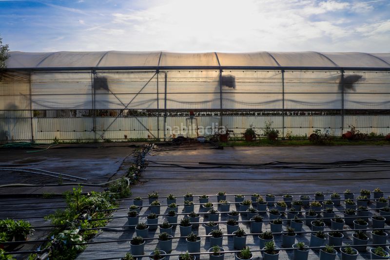 Foto 2e832f07-e5f5-45e5-aad5-c2283e8b4793. Finca rústica en Zona Industrial i Agrícola Vilassar de Mar