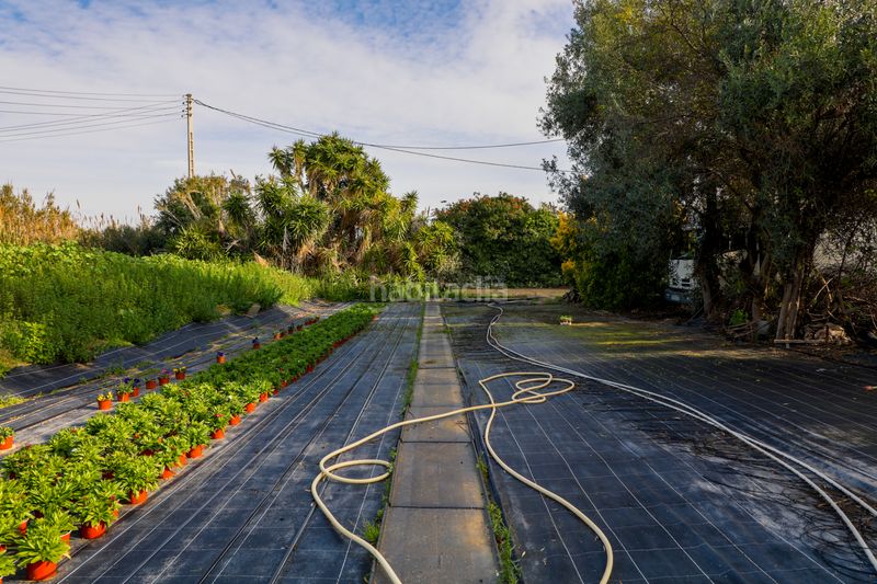 Foto 39bd5a21-c3f4-4082-af51-9b2e77d73690. Finca rústica en Zona Industrial i Agrícola Vilassar de Mar