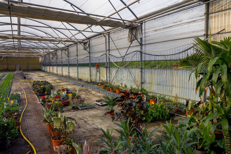 Foto 518c46cf-db25-4a44-acf4-61e3397186e9. Finca rústica en Zona Industrial i Agrícola Vilassar de Mar