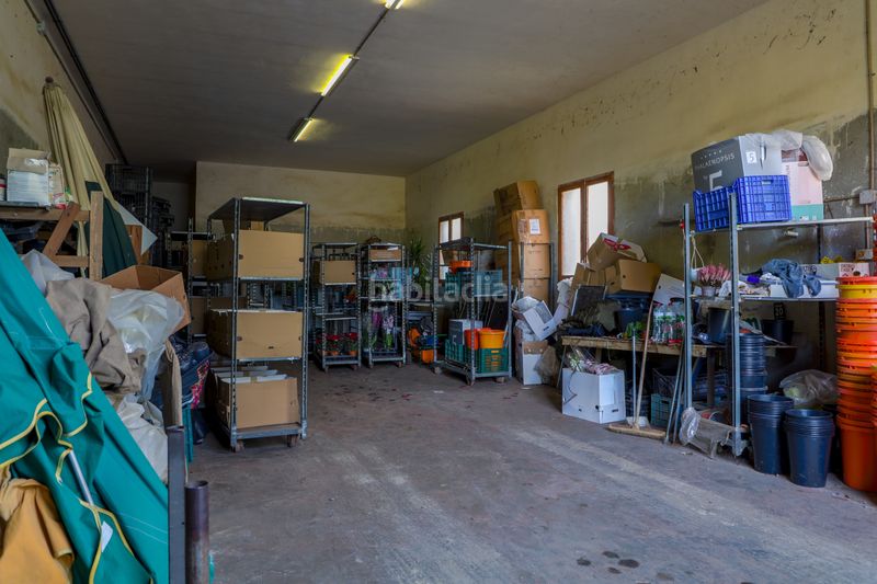 Foto 555758ae-b64c-4e8e-a7db-e8e6ddbe6d3f. Finca rústica en Zona Industrial i Agrícola Vilassar de Mar