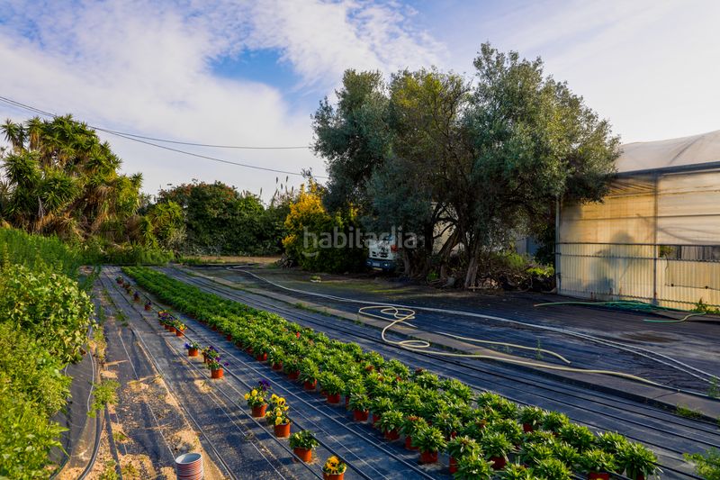 Foto 66c324d0-7b4d-4cc7-b57b-86e5673e64c2. Finca rústica en Zona Industrial i Agrícola Vilassar de Mar