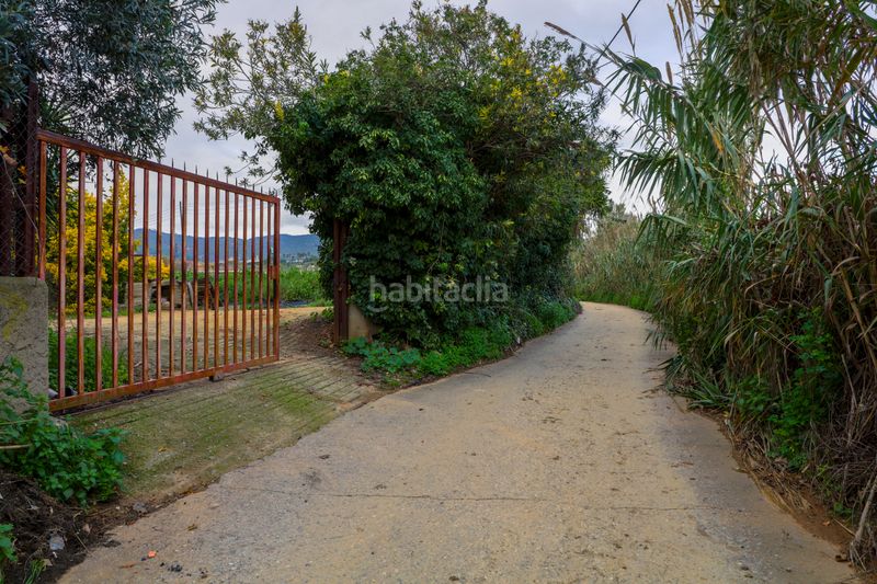 Foto 7038a326-bb53-4cd0-ac7d-103924a0552d. Finca rústica en Zona Industrial i Agrícola Vilassar de Mar