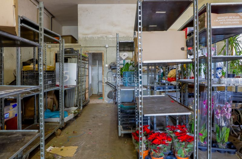 Foto 727adc5e-f482-4997-b0eb-5737377a4ff2. Finca rústica en Zona Industrial i Agrícola Vilassar de Mar