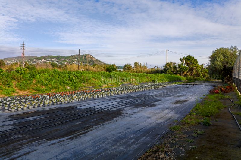 Foto 744d44a7-2558-4ecd-86ef-211f92398ad9. Finca rústica en Zona Industrial i Agrícola Vilassar de Mar