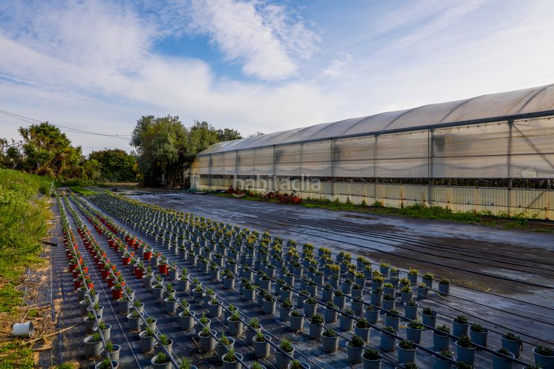 Foto 757ac256-d2cb-4e79-9346-b1535380e666. Finca rústica en Zona Industrial i Agrícola Vilassar de Mar