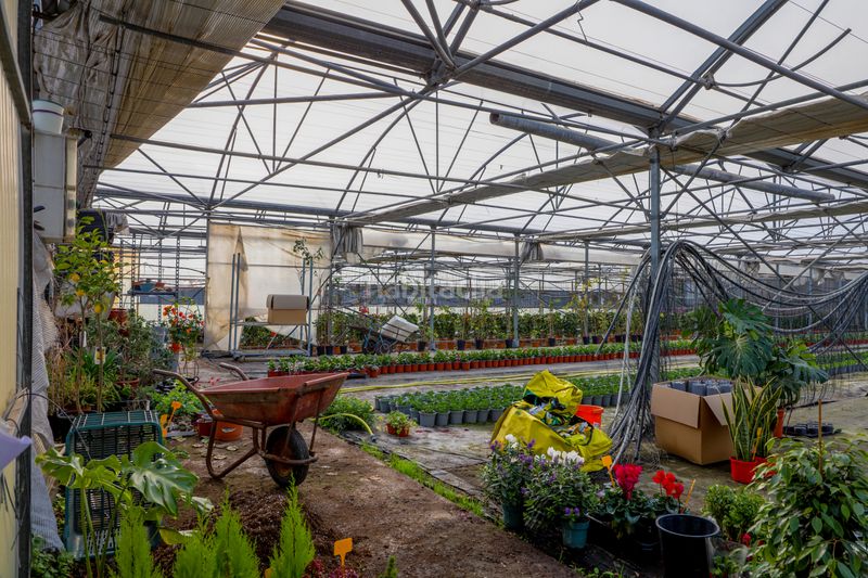 Foto 8e221590-09bb-44d5-b32a-75aa74ff5017. Finca rústica en Zona Industrial i Agrícola Vilassar de Mar