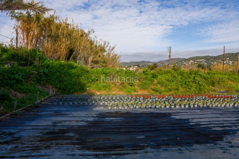Foto a124ab07-284d-4451-860b-c020271514ff. Finca rústica en Zona Industrial i Agrícola Vilassar de Mar