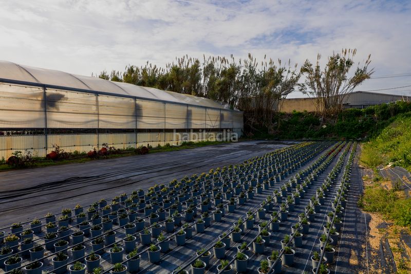 Foto abeb2710-35b3-41e4-b2f1-fa1a599eaaa2. Finca rústica en Zona Industrial i Agrícola Vilassar de Mar