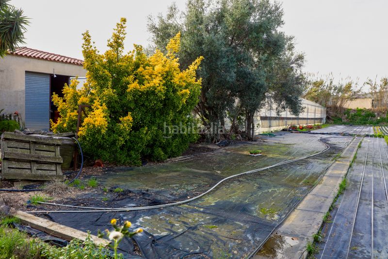 Foto b7702b39-91cf-450e-96f1-5f531be53252. Finca rústica en Zona Industrial i Agrícola Vilassar de Mar