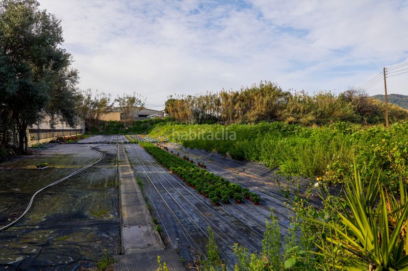 Foto cd4ebf32-7449-4d2c-84a3-d94d77799ed0. Finca rústica en Zona Industrial i Agrícola Vilassar de Mar