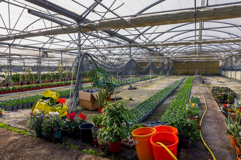 Foto f6cdd301-c0a1-418a-91e7-817874eae15f. Finca rústica en Zona Industrial i Agrícola Vilassar de Mar