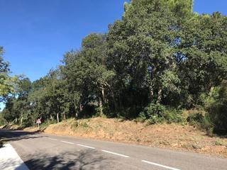 Terreny residencial a Cabanyes-Mas Ambrós-Mas Pallí