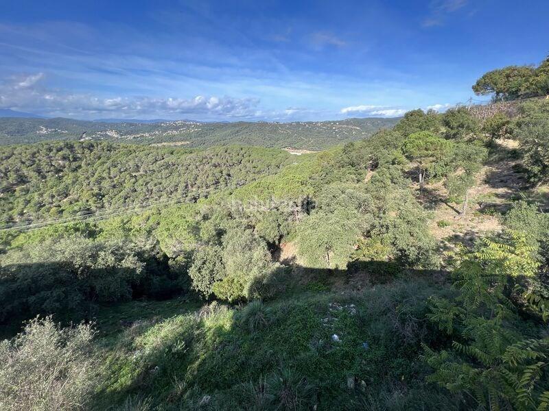 Foto 45e836dc-f9d0-4312-bfc6-d9264d76a373. Edificio en poblat iberic en Roca Grossa Lloret de Mar