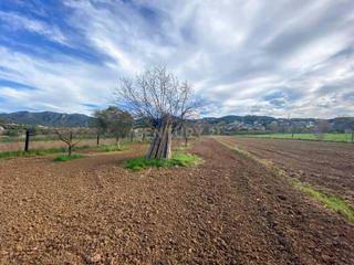 Residential Plot in Carretera vallderiolf, 10, 08410, barcelona, spain
