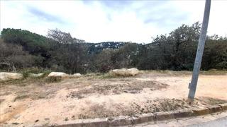 Terreny residencial a Senyera, 30