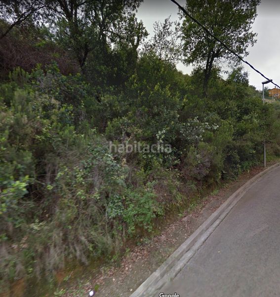 Foto 19ab59f2-1a25-4acc-9829-b7402b9586a4. Terreny residencial a olivera a Mas Pere-Río de Oro Calonge
